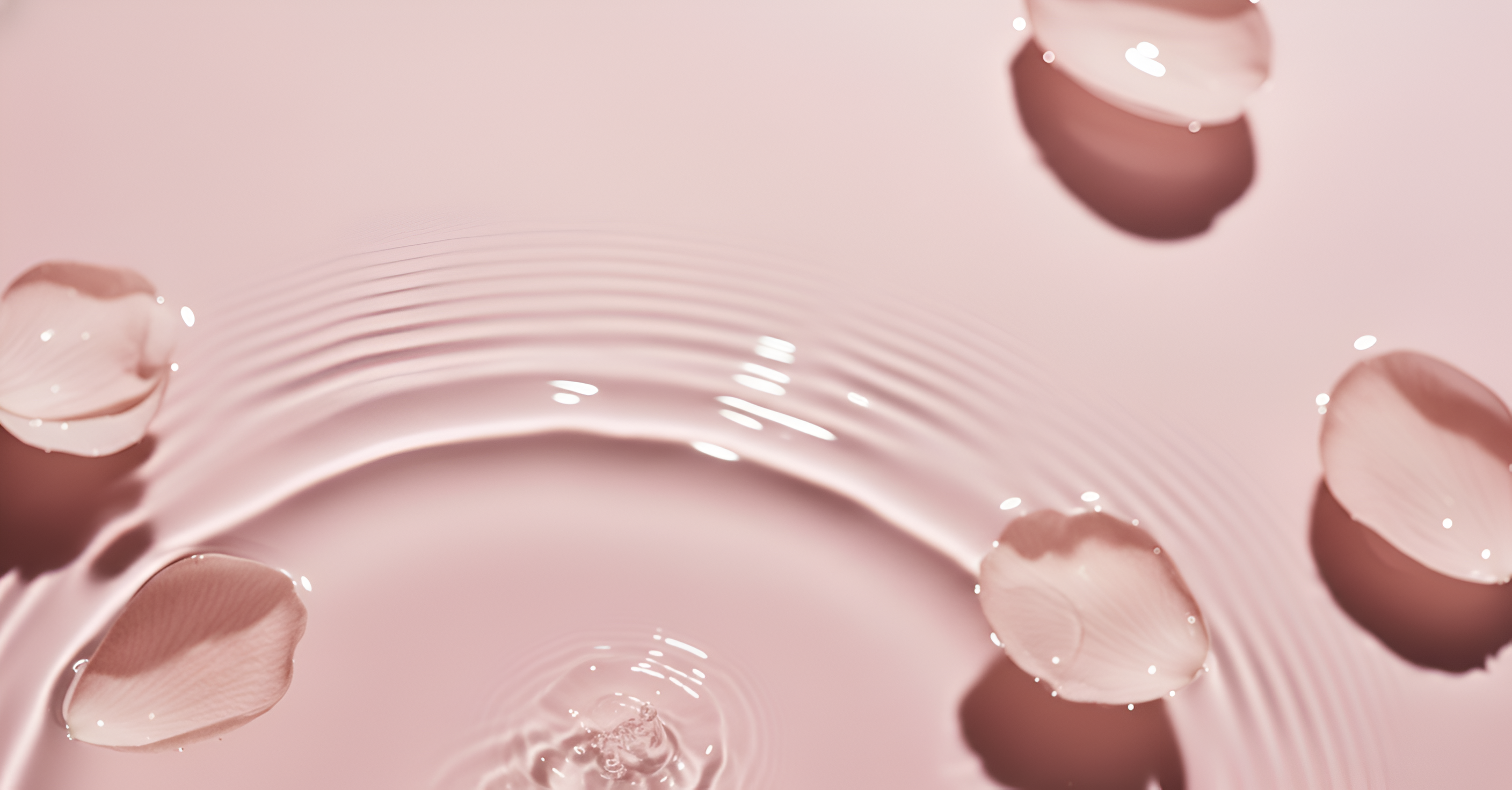 Close-up of water droplets on a pink surface